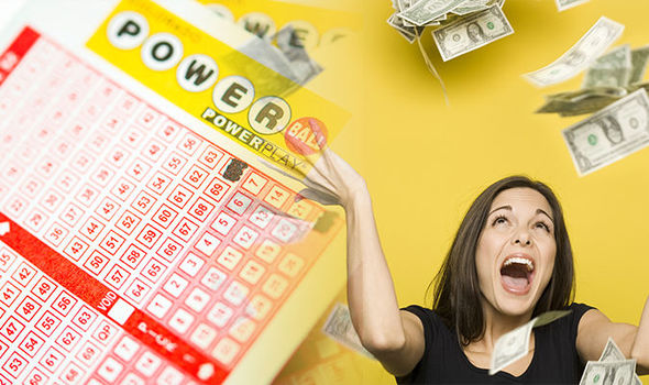 Tips on Winning The Lotto for Beginners